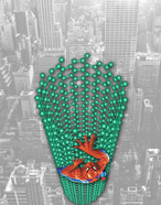 nanotubes