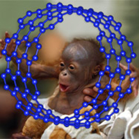 nanotube