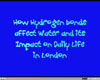 Hydrogen bonds in London